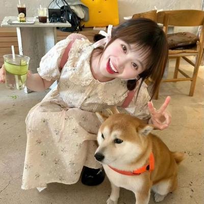芙蓉春色